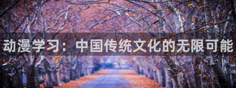 旧里番动漫观看：动漫学习：中国传统文化的无限可能