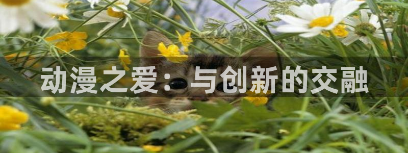 里番动漫在线播放：动漫之爱：与创新的交融