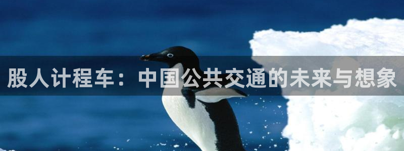 母子里番动漫：股人计程车：中国公共交通的未来与想象